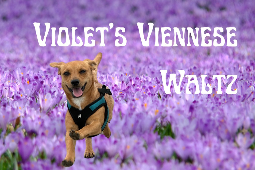 Violet's Viennese Waltz